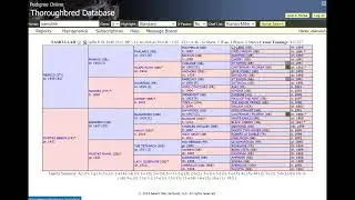 Use www.pedigreequery to research Thoroughbreds