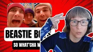 This Beastie Boys Video Feels Like Being High in Nature. First Time Reaction 