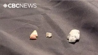 An archaeological site near Prince Albert, Sask., is being pilfered of ancient items