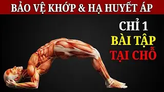 B&agrave;i Tập 