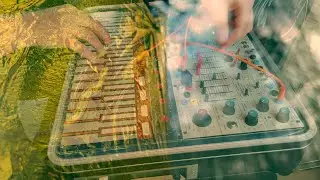 Gold. Buchla Music Easel