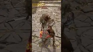 Elden Ring PVP Miquellas Ring of Light Is Overpowered
