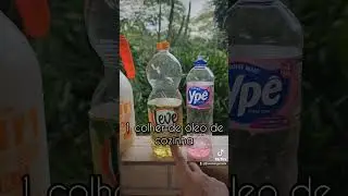 O melhor inseticida caseiro para pulg&atilde;o cochonilha lagarta e outras pragas em todas as suas plantas