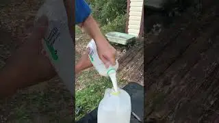 Boost Your Garden with Milk Benefits #gardenhacks #gardentips
