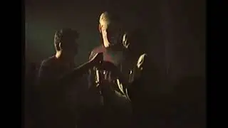 split - LINTD x Porter Brook