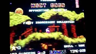 Willgraham13's Random Radical Review: Episode #1: Wiz and Liz for the Sega Genesis