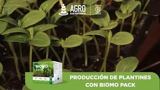 PRODUCCI&Oacute;N DE PLANTINES CON BIOMO PACK
