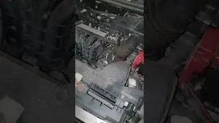 Motor startet nicht. Was k&ouml;nnte das sein? Anlasser defekt?