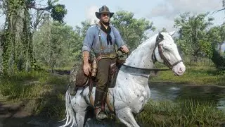 Red Dead Redemption 2 Campaign Gameplay Walkthrough Part 27 #rdr2 