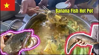 Snakehead Fish Hot Pot, a Unique and Rare Dish of Vietnamese Fishermen.
