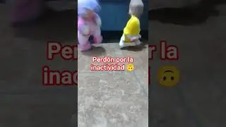 Adi&oacute;s 2025... Gracias por el apoyo el a&ntilde;o 2025 espero que este a&ntilde;o 2026 sea mucho mejor