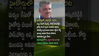 AP Politics, PASSPORT SEIZED! 🚔 Chevireddy Bhaskar Reddy Gets Conditional Bail!