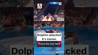 #orca attacked its #trainer #jessica #viralvideo #shorts #news #fact_bell #fact_check #dolphin #live