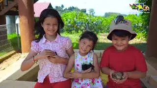Selangor Fruit Valley 3 min Corporate Video