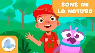 Els SONS DE LA NATURA per a nens en català- Episodi 3