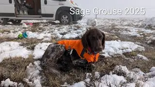 Y3E19: Idaho Sage Grouse 2025