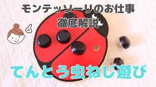 【おうちでモンテッソーリ】てんとう虫ねじ遊び
