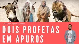 O Profeta Velho e o Profeta Novo - Josias Le&atilde;o