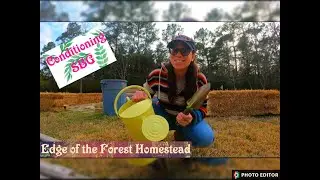 STRAW BALE GARDEN conditioning!