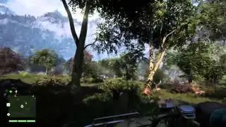 Roadkill Caught on Tape