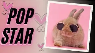 Cruelty Free :Por que o coelho &eacute; o mascote?