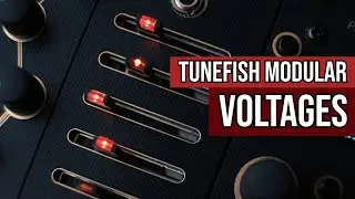Ein weiterer Expander f&uuml;r die Turing Machine | VOLTAGES ⚡︎