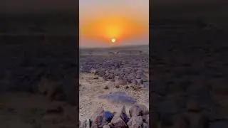 ربابه