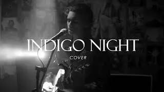 Indigo Night - Tamino  (Ziyad Menessy Cover)