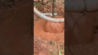 If You Fall Into a Sinkhole, Where Do You End Up?