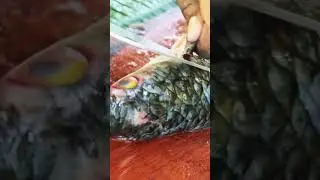 Very Easy Fish Slicing Guide #slice #shorts #foodphotography