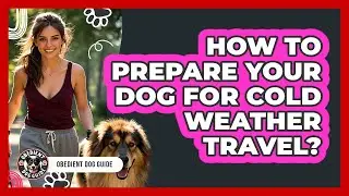 How To Prepare Your Dog For Cold Weather Travel?