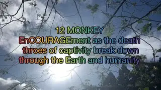 12 MONKEY - enCOURAGEment as the death throes of captivity break down through Earth and her children