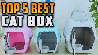 Top 5 Best Cat Box on On Aliexpress On Amazon