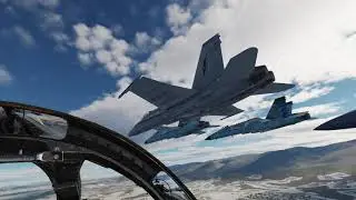 DCS F-14A &mdash; Lt. Nuke brings the A Model to the formation