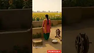 🌸🌼✨🌿 Punjabi culture is full of love, colors, music, and beautiful traditions. ❤️❤️✨✨🌸🌼YouTube✨