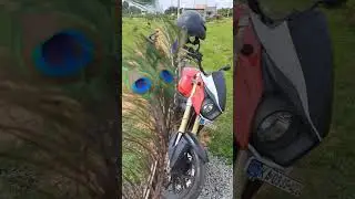#mojoxt300