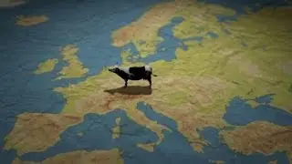 Beef traceability
