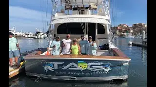 Gray FishTag Research and Pisces Sportfishing - Striped Marlin Sat Tag Deployment. Cabo San Lucas MX