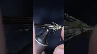 Biot Nymph!!#flytyingnation #flytying #flytyingaddict #flytyingjunkie