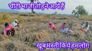 चींटी भाजी खोजने गए थे मिल गया तोड़ के ले आये और अपने स्टाइल से सेमी मिला के बना के खा भी लिए /