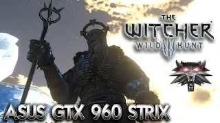 The Witcher 3: Caranthir Boss Fight