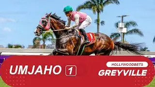 20251112 isiZulu Hollywoodbets Greyville Race 1 won by DRIELANDENPUNT