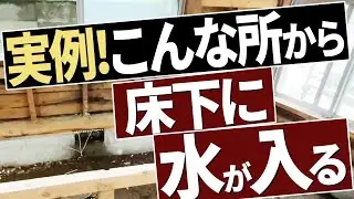 解体後に判明、白アリ被害と水が入っていた理由とは