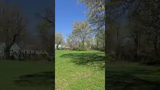 Dog Walk Update 4/10/2025 #louisville #dog #weather #spring