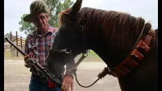 What was the primary weapon of the Australian Light Horse in WWI? Part One.