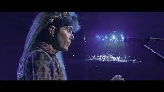 Steel Panther - Heavy Metal Rules Summer Tour 2020 - Trailer