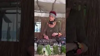 Progressive House Music Teaser | Check Our Channel | Tulum DJ Academy 🌴