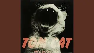 ふられ気分でRock'n' Roll