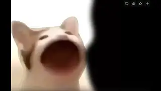 я шепну тебе на ушко