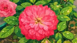 இனிய காலை வணக்கம்ங்க 🙏🏻☺️